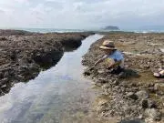 光風霽月の画像