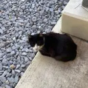 つだ