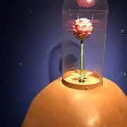 mysの画像