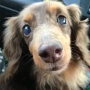 もなこ⭐︎プロフ必読⭐︎即購入可◯の画像