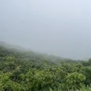 barrelの画像