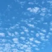 めめの画像