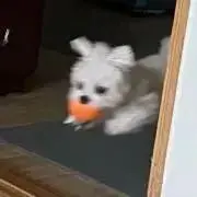 ☺︎ ※プロフ必読の画像
