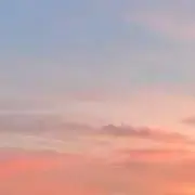 むらさき