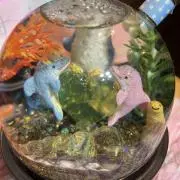 Image of YU⭐︎YU【即購入大歓迎◎】