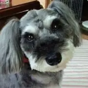 りりぃ
