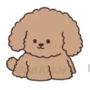 yoonの画像
