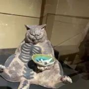 ぬーぬーぬーの画像