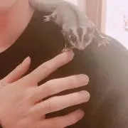 まよ【発送日に関してプロフ参照】