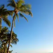 マリクの画像