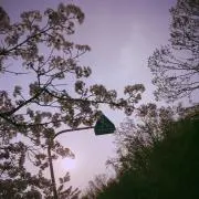 てるの画像