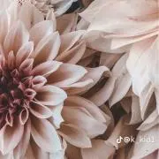 ひな＊プロフ確認お願いしますの画像