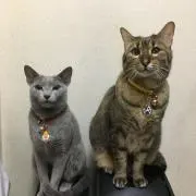 わたるの画像