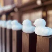 がーちゃんの画像