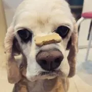 Mucoの画像