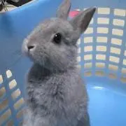 Aiの画像