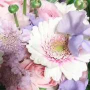 うとち☆いろいろ見ていってね！の画像