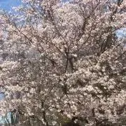 hinatan0303の画像