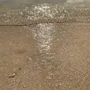 あんでぃの画像