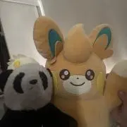 はち
