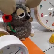 ゆき