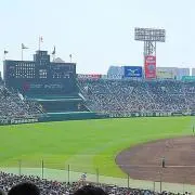 ブロッコリーBB   希望価格はコメよりの画像