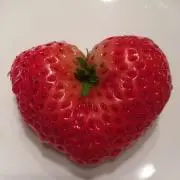 Stacyの画像