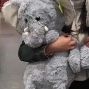 丹の画像