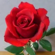 ☆の画像