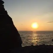 ゴリラ眼鏡の画像