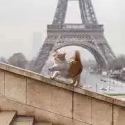 れもんの画像