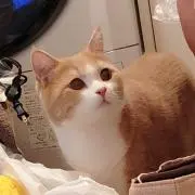 ふーさん