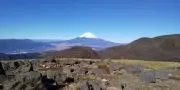 shinの画像