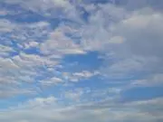 めぐの画像