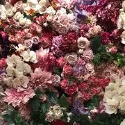 mn02の画像