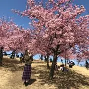 いっちゃんの画像