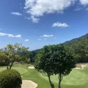 Sの画像