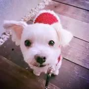 ばんちゃん