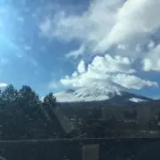 ナナの画像