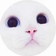 がーびー