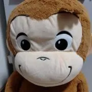 kotoの画像