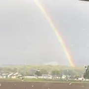 大家族ママの画像