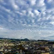 RAの画像