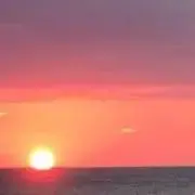 のじこの画像