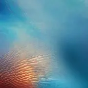 たやたや
