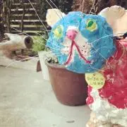 おうちぐらし。の画像