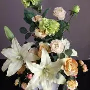 メジロの画像