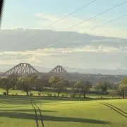 ごんの画像
