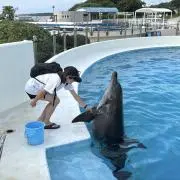 wako（プロフ一読下さい）の画像