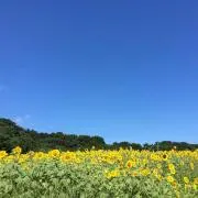 こたろう